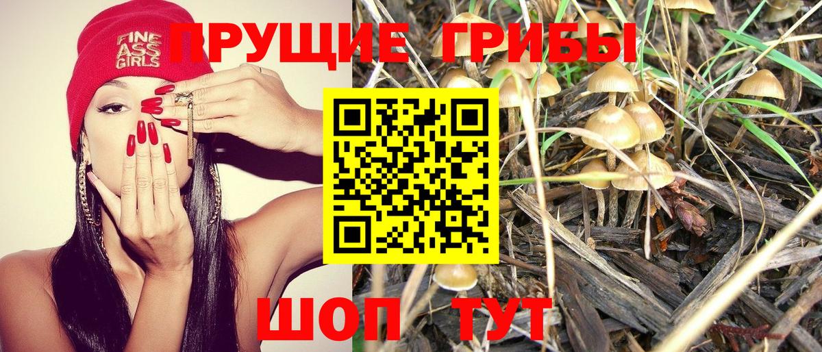 Галлюциногенные грибы MAGIC MUSHROOMS Великий Новгород