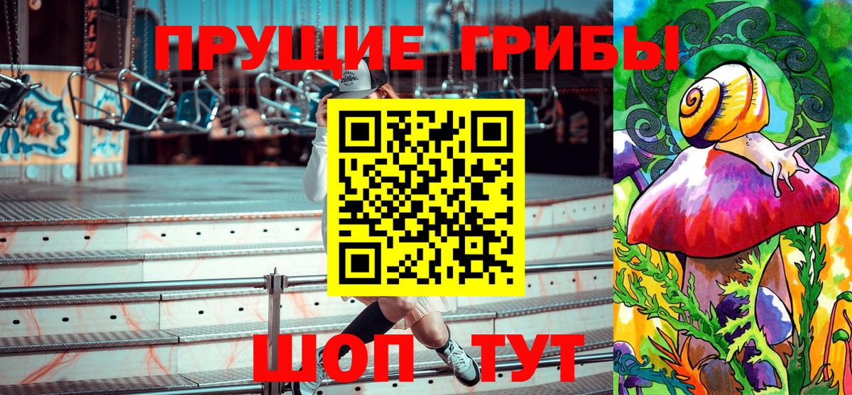 где купить наркоту  Вход с VPN  Псилоцибиновые грибы Cubensis  Великий Новгород  Псилоцибиновые грибы мухоморы 